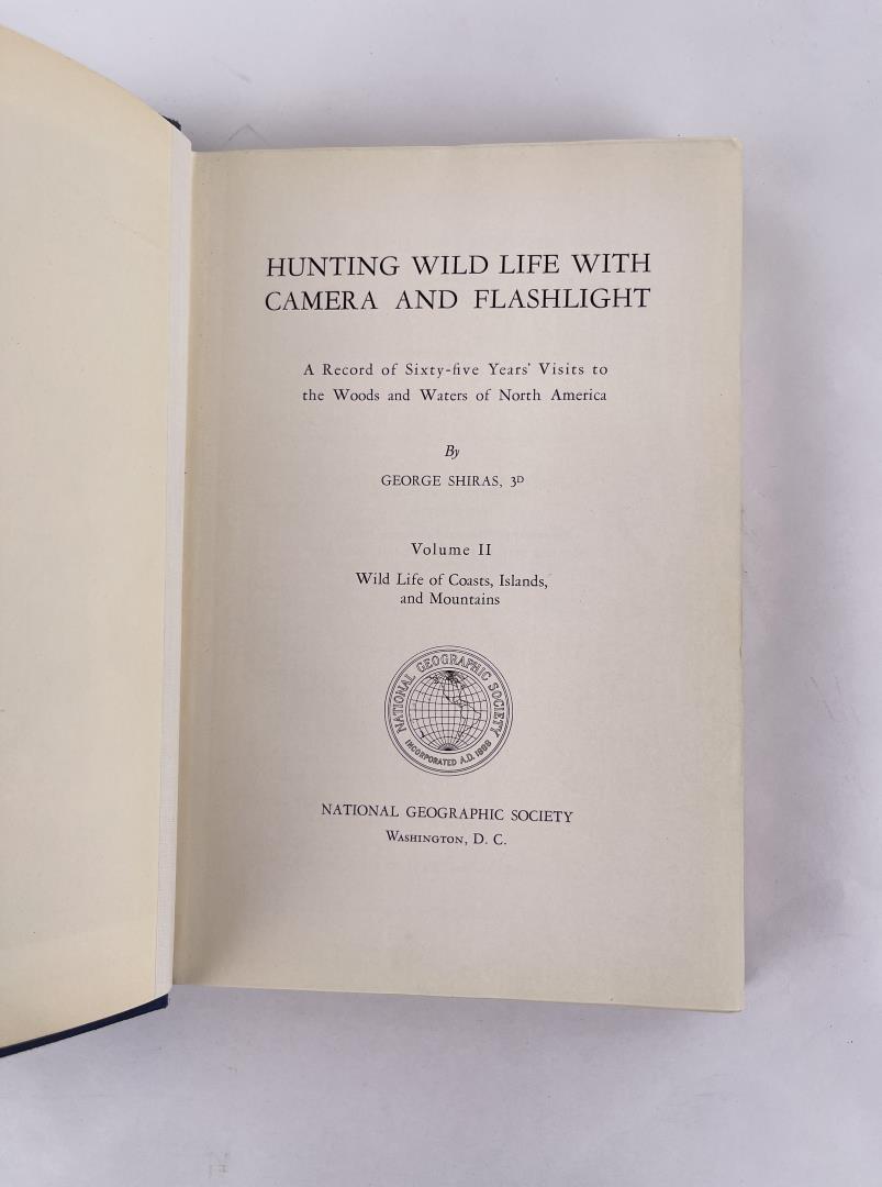 Hunting Wild Life with Camera and Flashlight