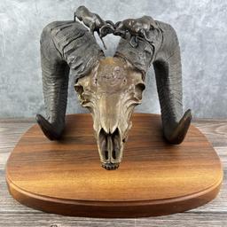 Ron Herron Bighorn Sheep Skull Bronze Montana