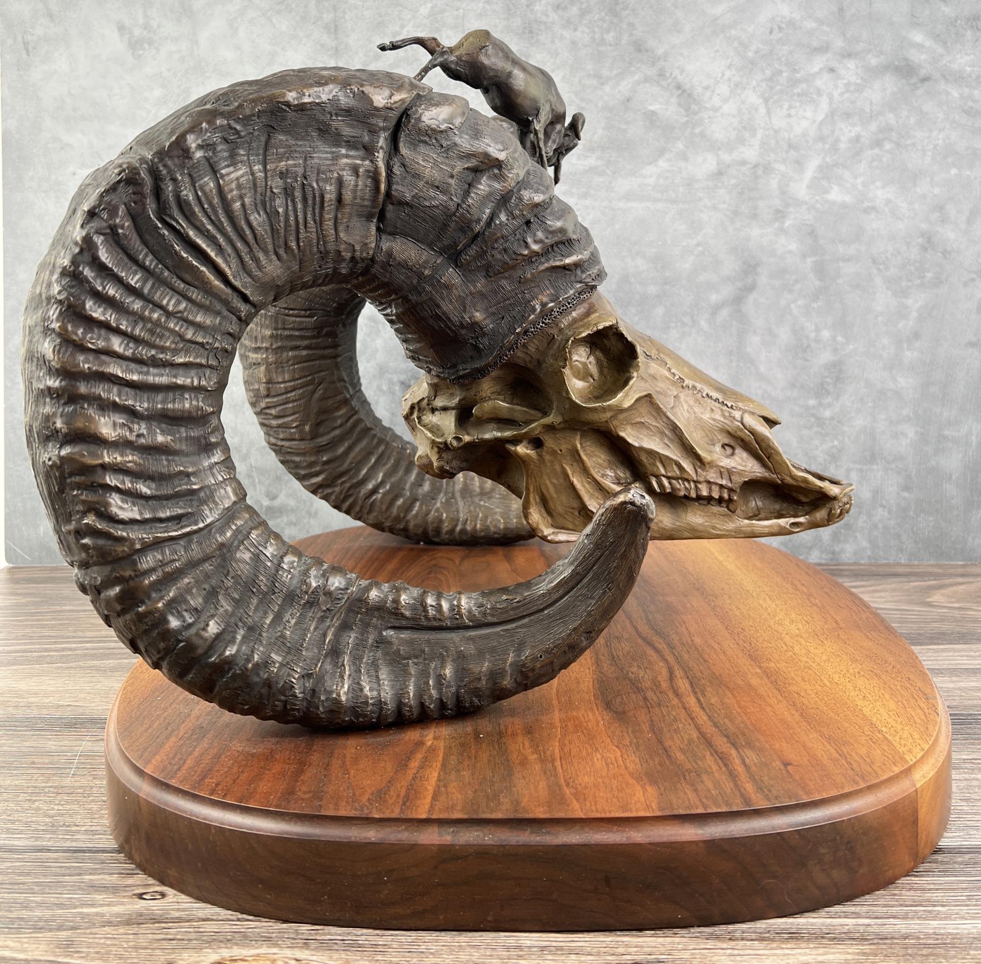 Ron Herron Bighorn Sheep Skull Bronze Montana