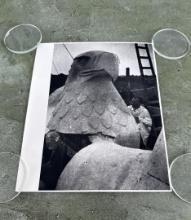 Giant German NSDAP Eagle Photo