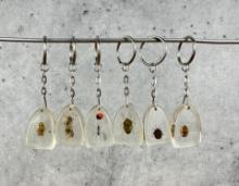 Lucite Acrylic Insect Key Chains