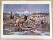 Ace Powell Elk Country Print