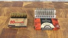 40 Rounds of .204 Ruger Rifle Ammo