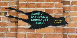 Steve Burnley Folk Art Critters Coral Leg Bird