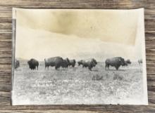 Edward Boos Flathead Indian Montana Photo