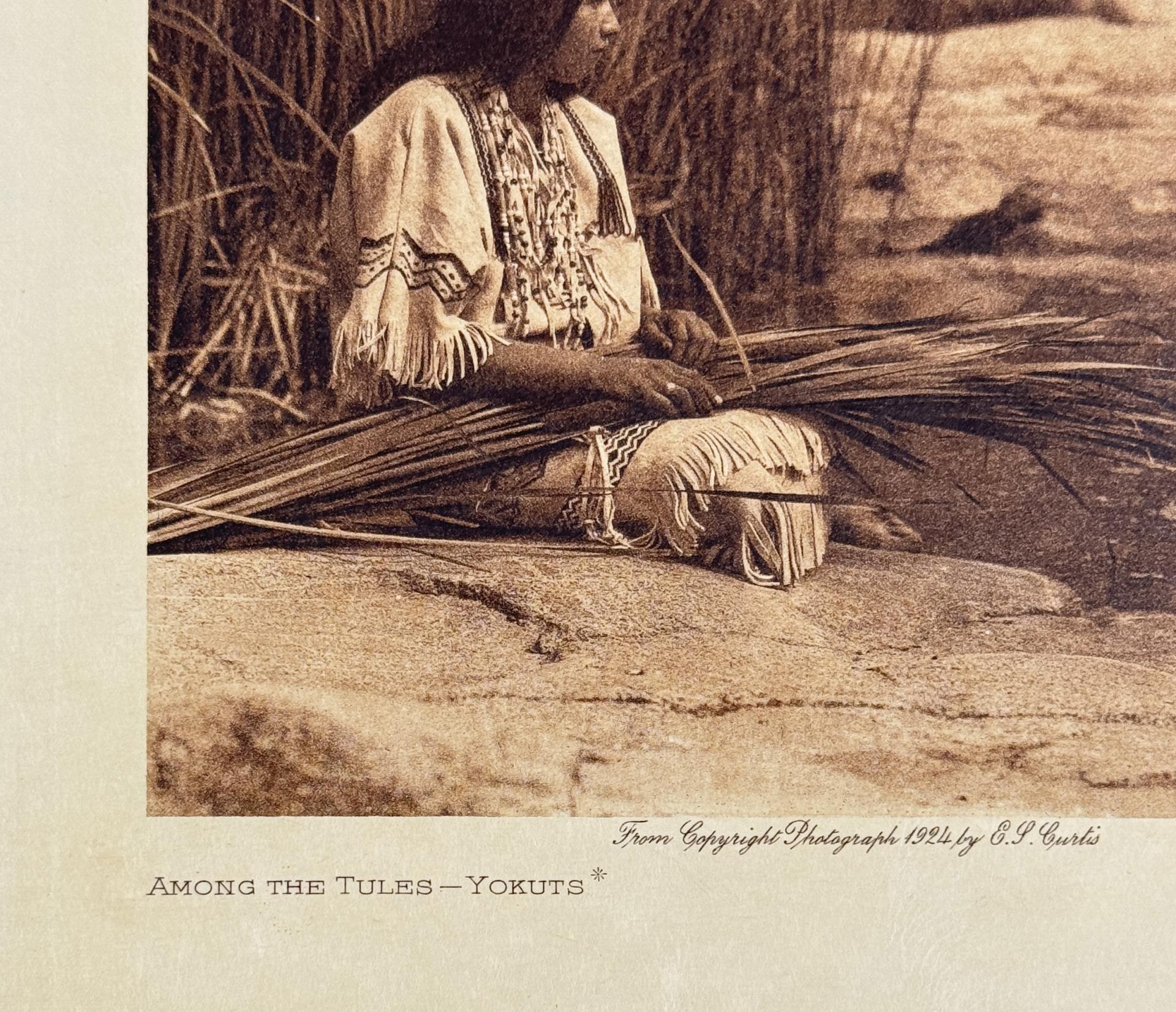 Edward Curtis Photogravure Among the Tules