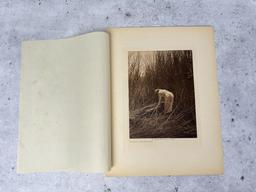 Edward Curtis Photogravure Gathering Tules