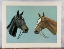 Sandra Etherington Horse Print