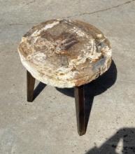 Zandra Petrified Wood Slab Table
