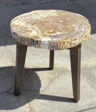 Zandra Petrified Wood Slab Table