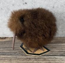 Alexander Gregory New Zealand Kiwi Bird