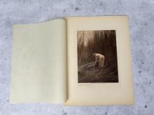 Edward Curtis Photogravure Gathering Tules