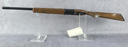 Daisy Model 2202 .22 LR Legacy Rifle