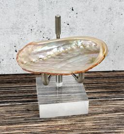 Abalone Sea Shell