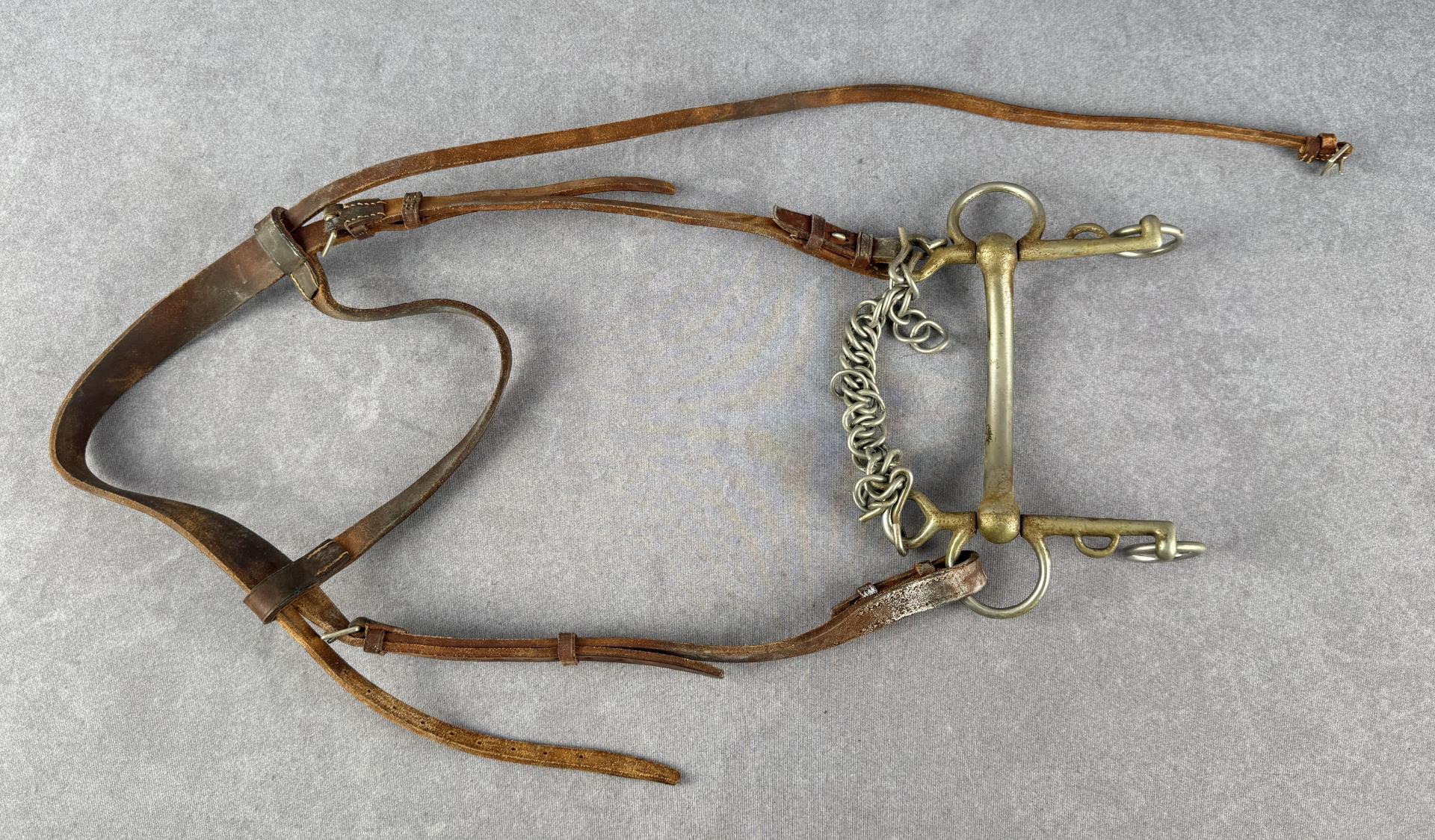 European Cavalry Headstall and Horse Bit