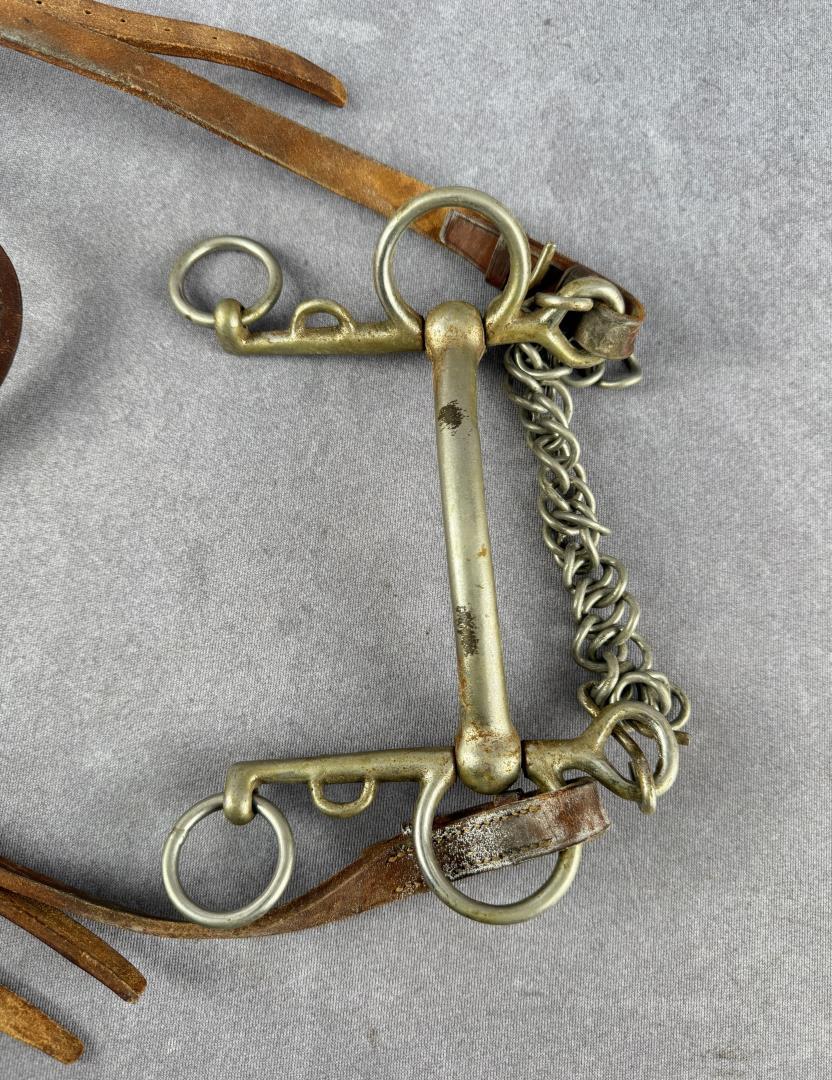 European Cavalry Headstall and Horse Bit