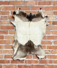 Goat Hide Rug