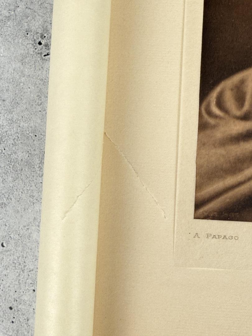 Edward Curtis Photogravure A Papago