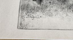 Alexander Phimister Proctor Bull Elk Etching