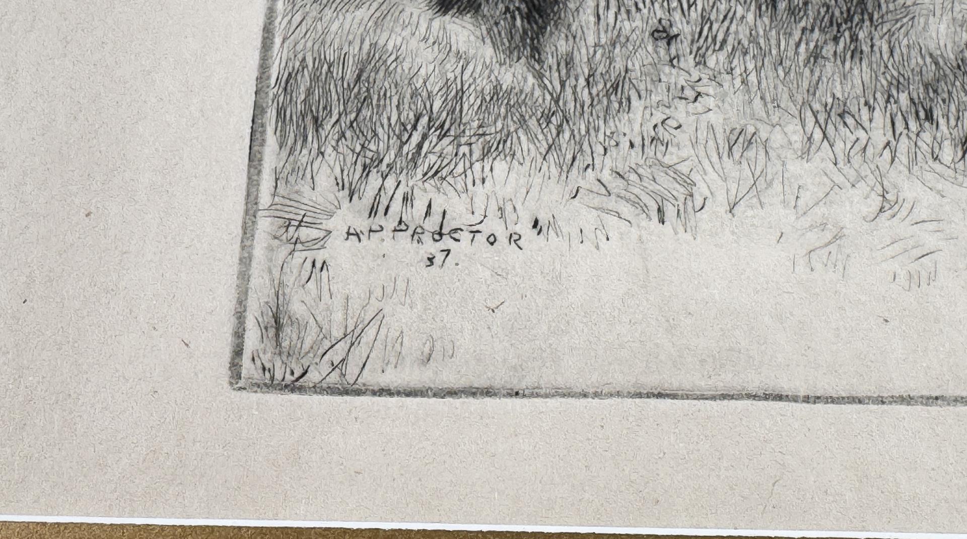 Alexander Phimister Proctor Bull Elk Etching