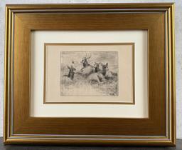 Alexander Phimister Proctor Bull Elk Etching