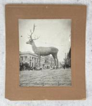 1916 Butte Montana Giant Elk Photo