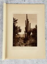 Edward Curtis Photogravure Gathering Cactus Fruit