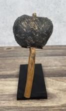 Sitting Bull's Scrotum Medicine Shaman Rattle
