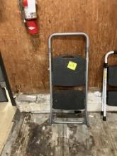 Step stool 2 level