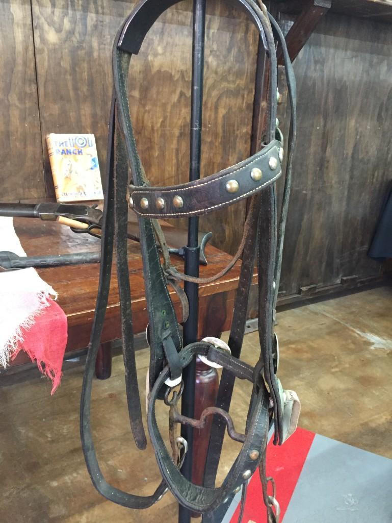 Exquisite 101 Ranch Collection - 3 Guns and more!