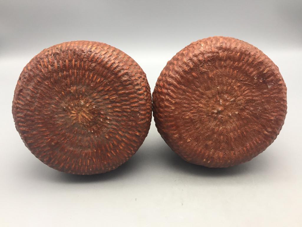 Two Unique Tus Baskets