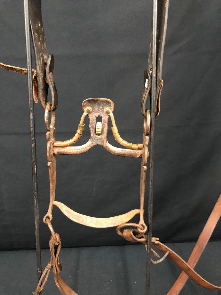 Old Spotted Leather Cowboy Bridle with Spade Bit