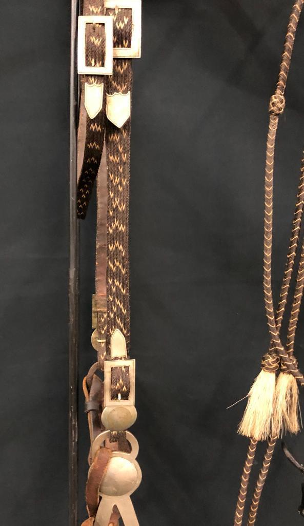 Published Walla Walla Horsehair Bridle and Bit