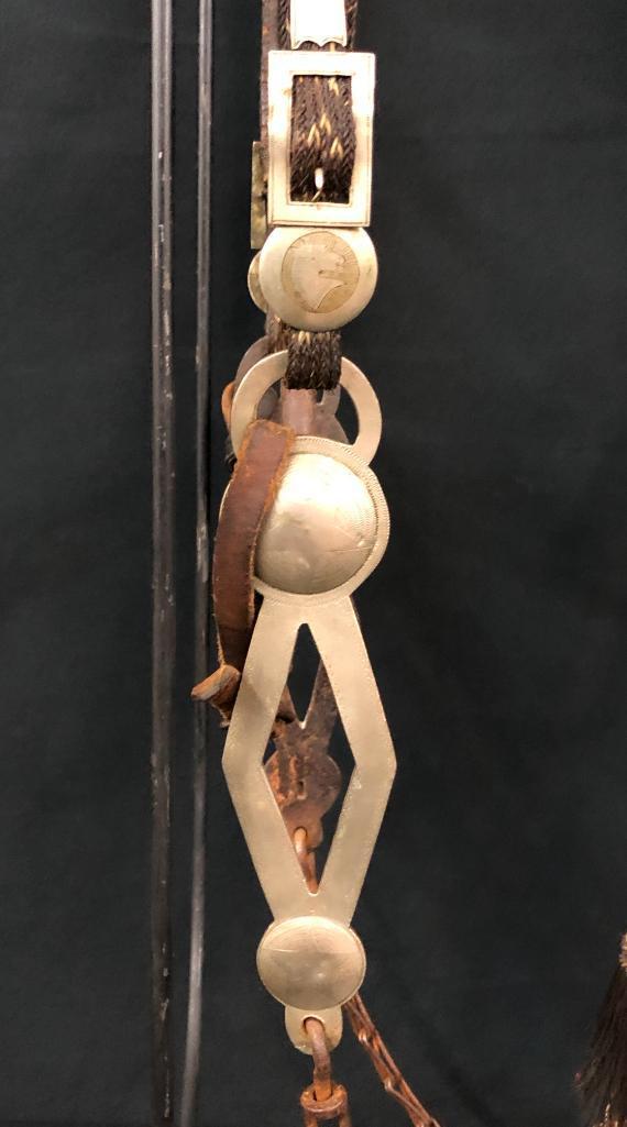 Published Walla Walla Horsehair Bridle and Bit