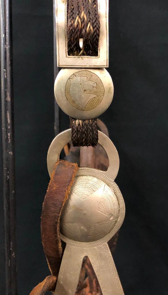 Published Walla Walla Horsehair Bridle and Bit
