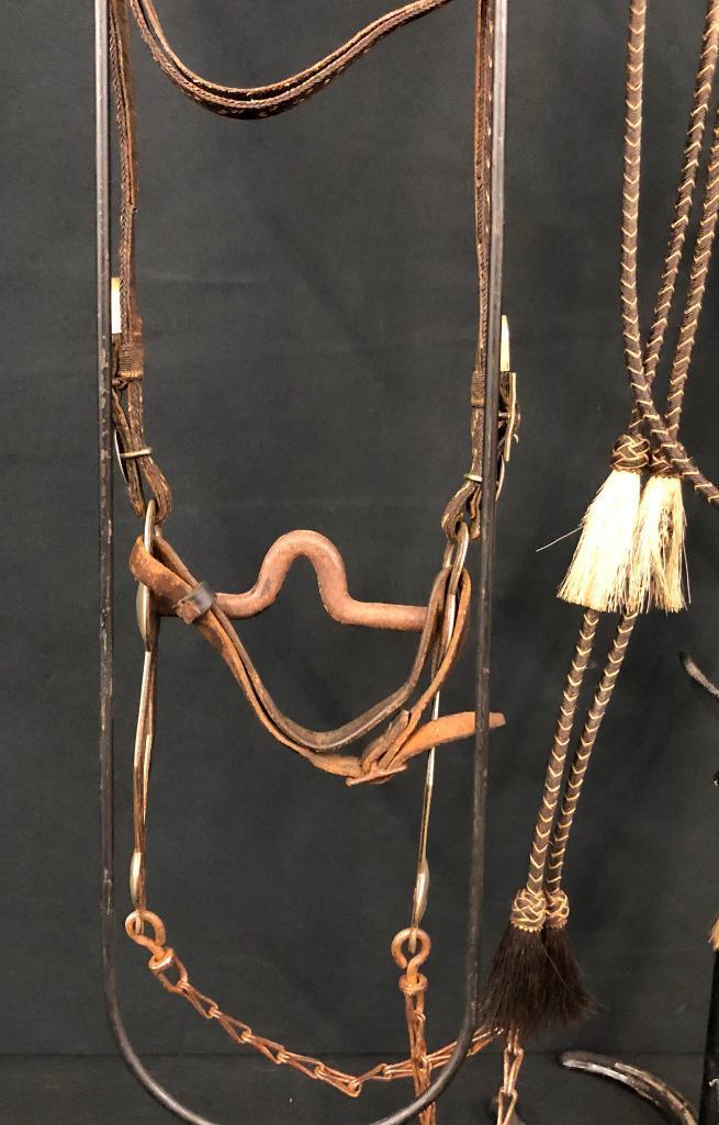 Published Walla Walla Horsehair Bridle and Bit