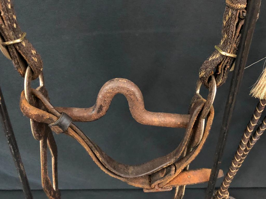 Published Walla Walla Horsehair Bridle and Bit