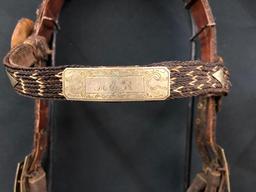 Published Walla Walla Horsehair Bridle and Bit