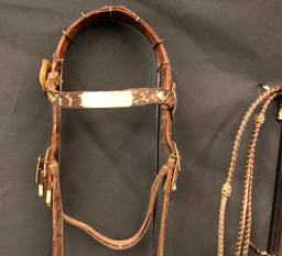 Published Walla Walla Horsehair Bridle and Bit
