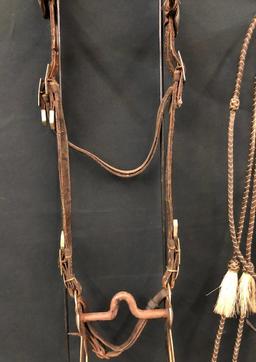 Published Walla Walla Horsehair Bridle and Bit