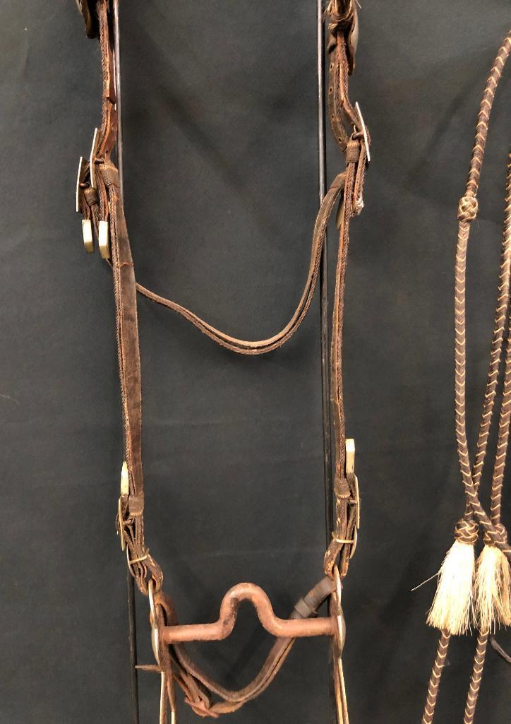 Published Walla Walla Horsehair Bridle and Bit