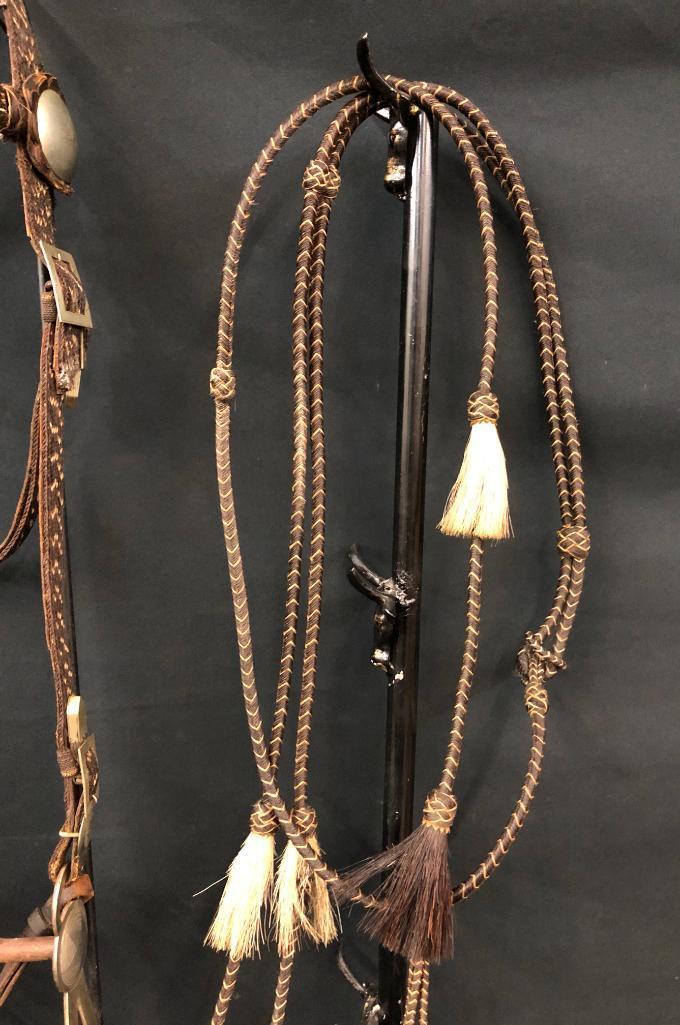 Published Walla Walla Horsehair Bridle and Bit