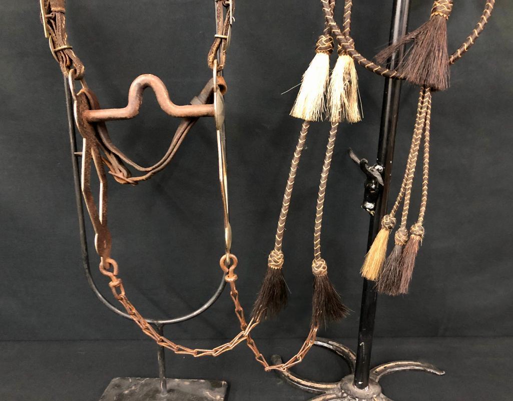 Published Walla Walla Horsehair Bridle and Bit