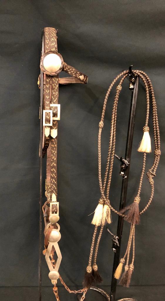Published Walla Walla Horsehair Bridle and Bit