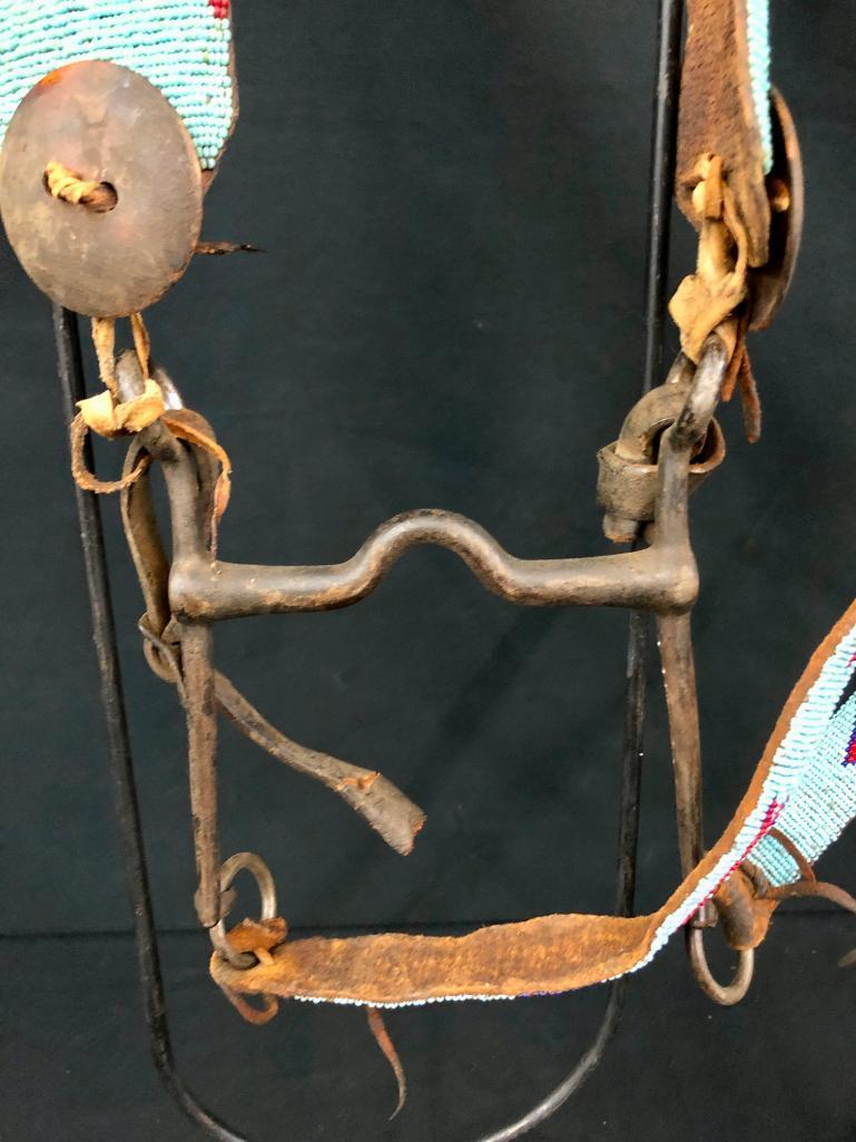 *PUBLISHED* Beaded Bridle with US Bit