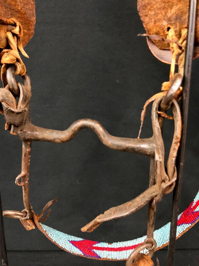 *PUBLISHED* Beaded Bridle with US Bit