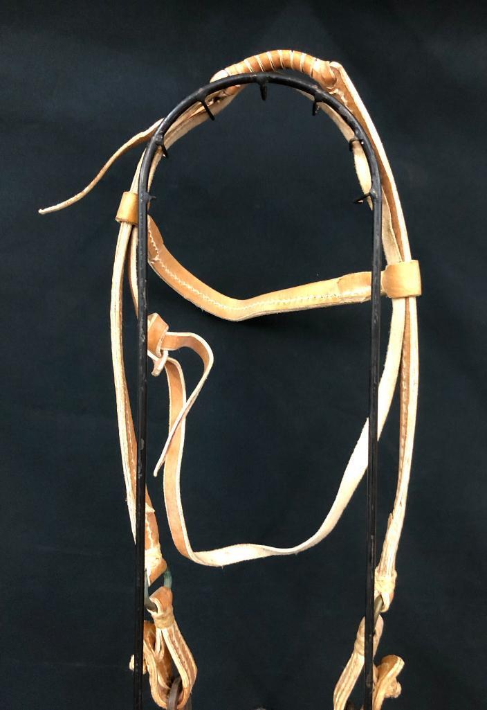 Argentine Bridle and Hackamore Set-Ups