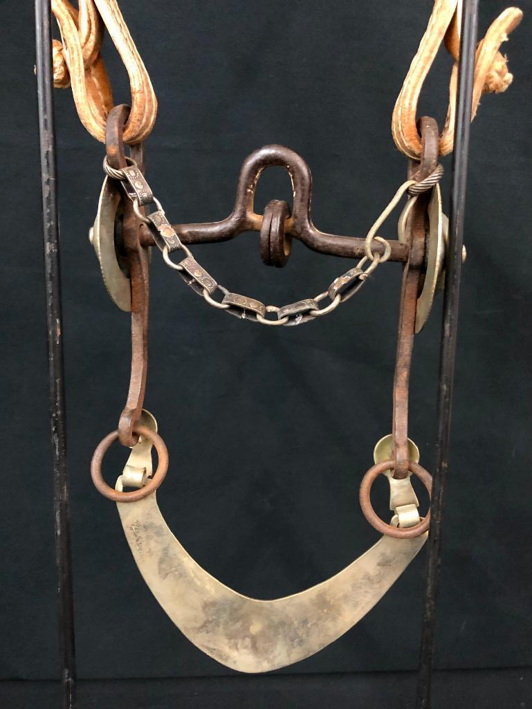 Argentine Bridle and Hackamore Set-Ups