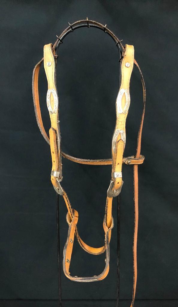 Argentine Bridle and Hackamore Set-Ups