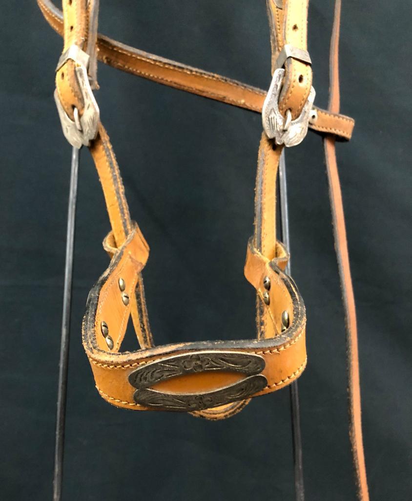 Argentine Bridle and Hackamore Set-Ups